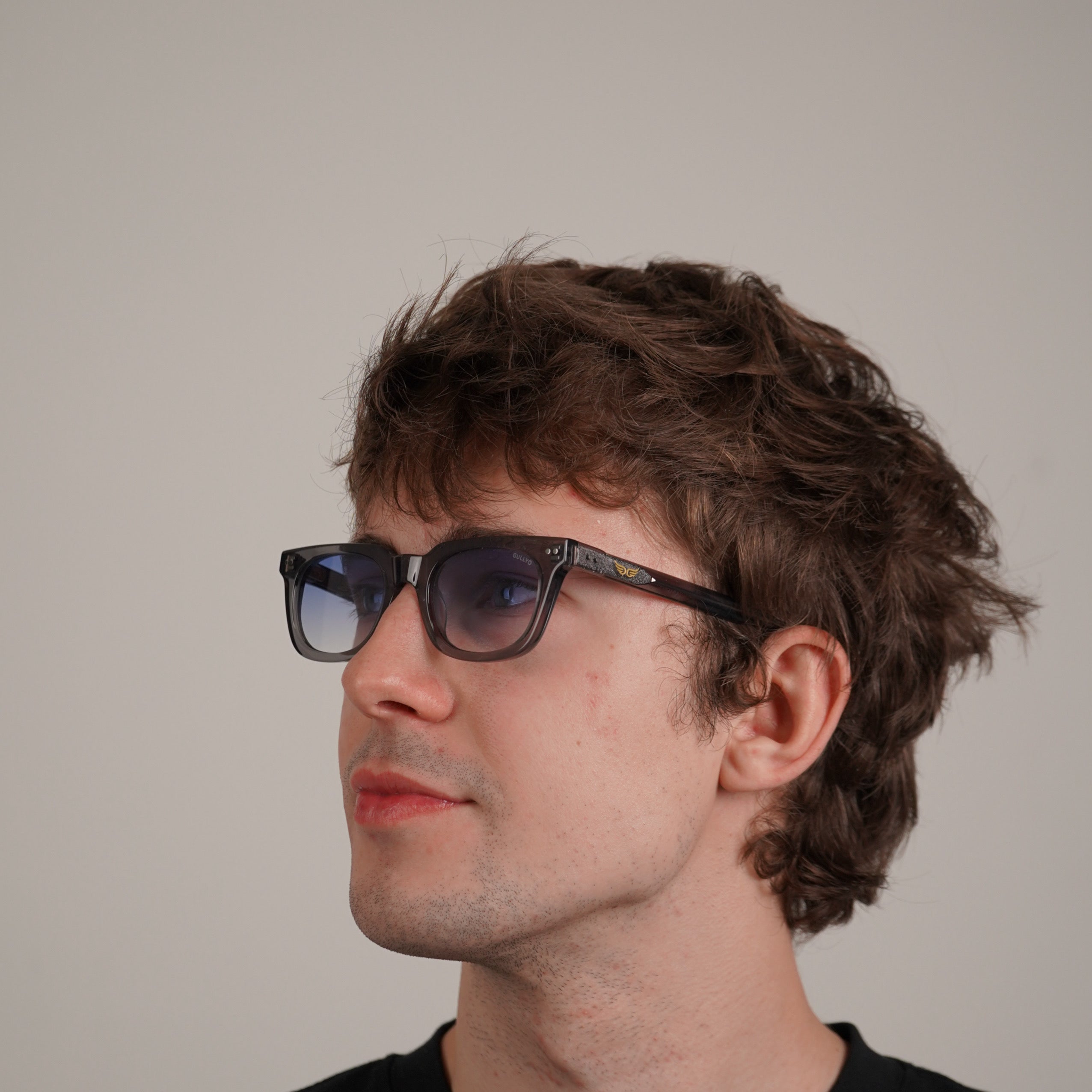 Sunglasses Gray Transparent