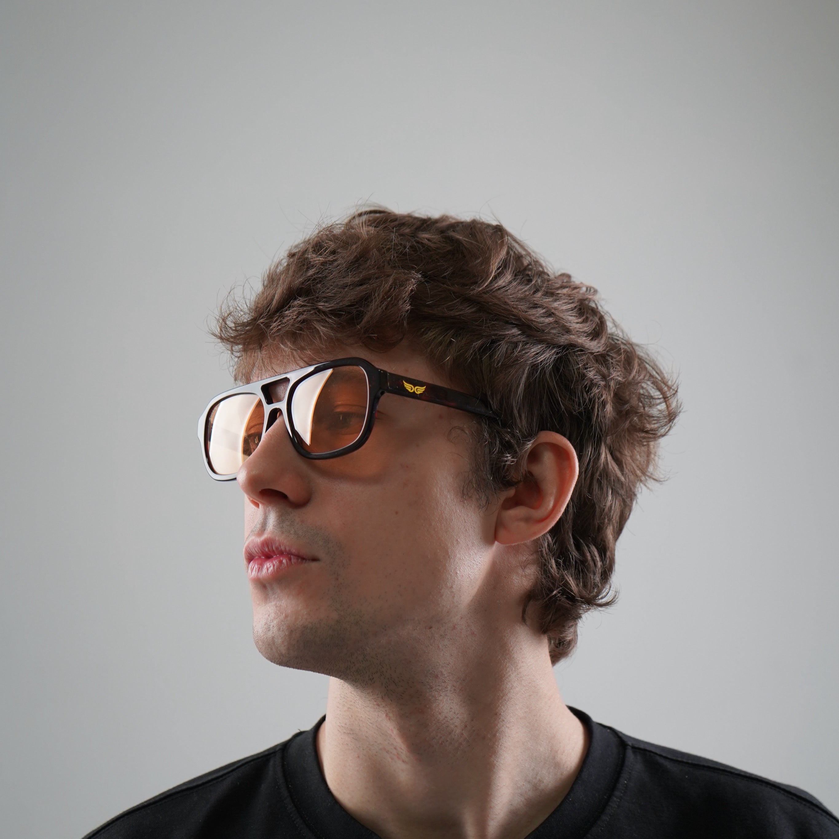 Sunglasses Dark Tortoiseshell