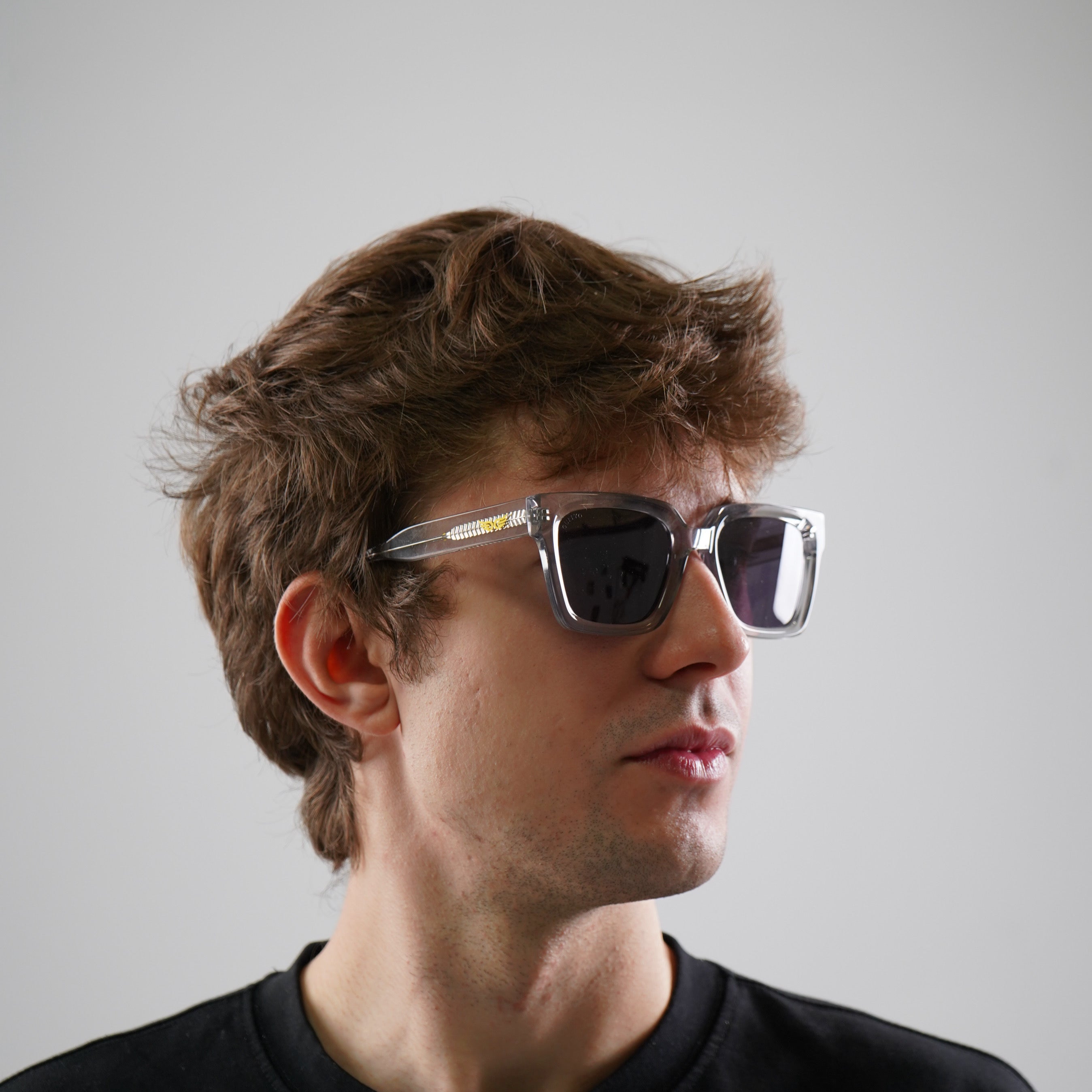 Sunglasses Translucent