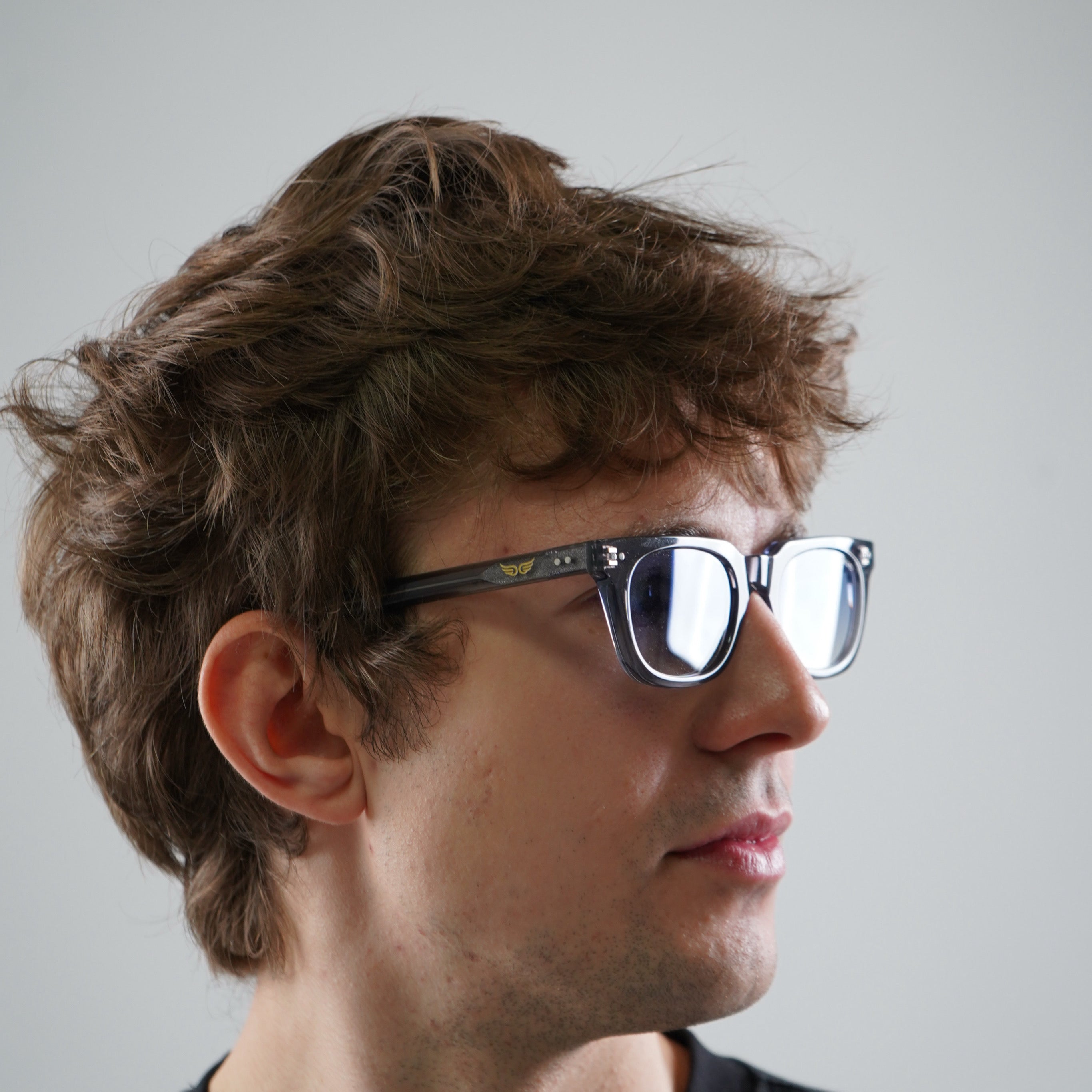 Sunglasses Gray Transparent