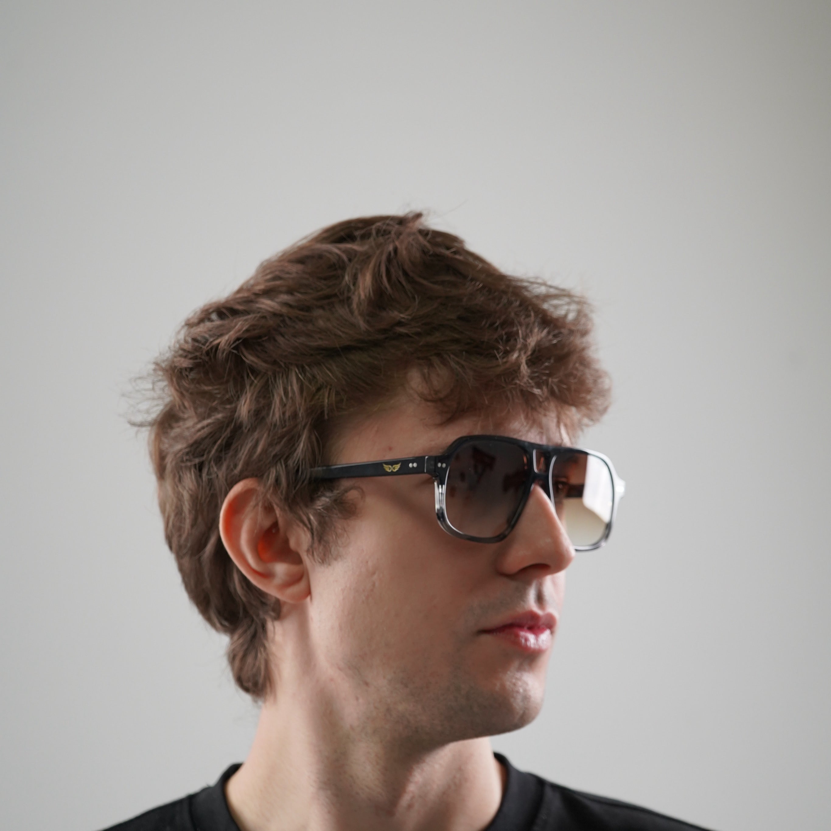 Sunglasses Dark Transparent 