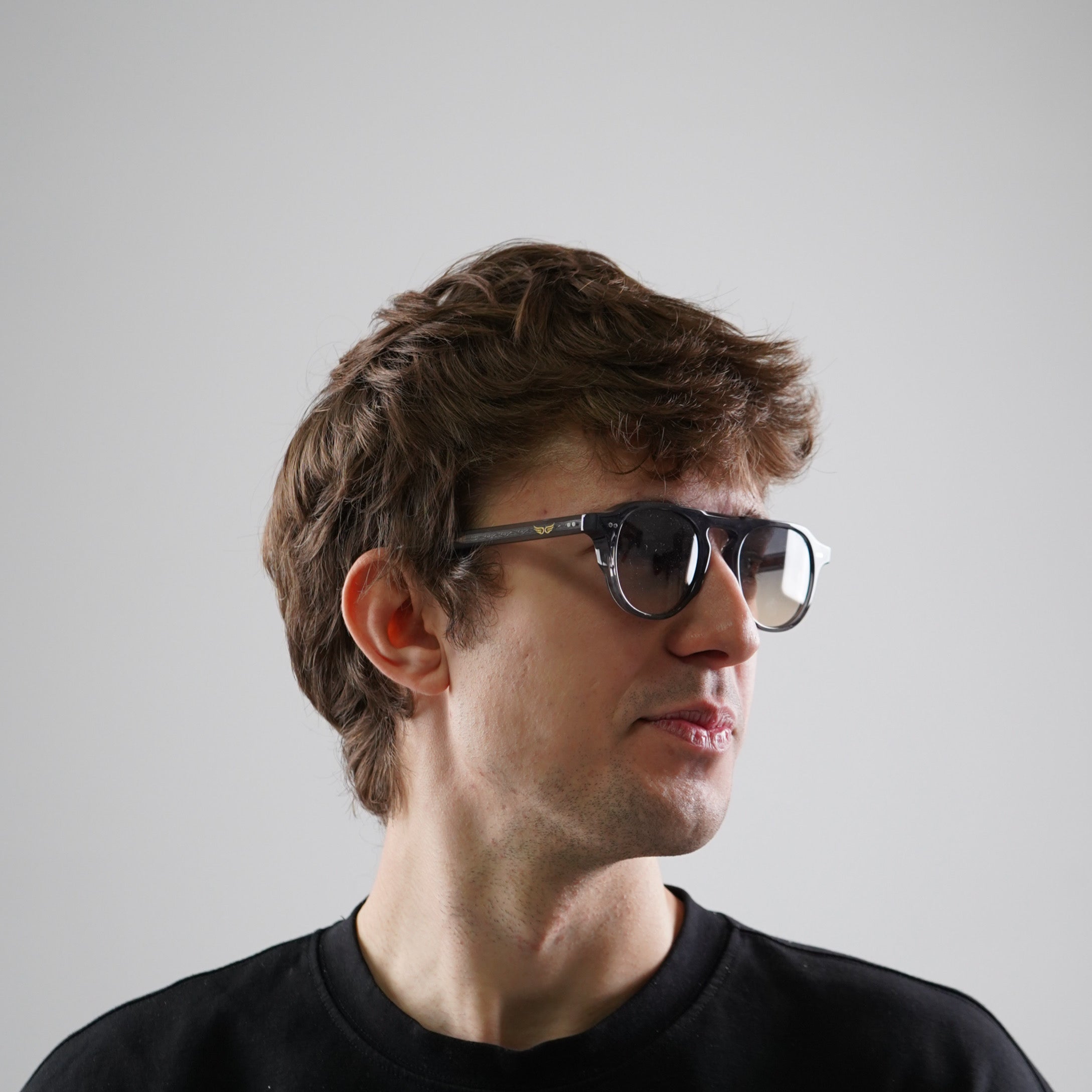 Sunglasses Transparent Gray