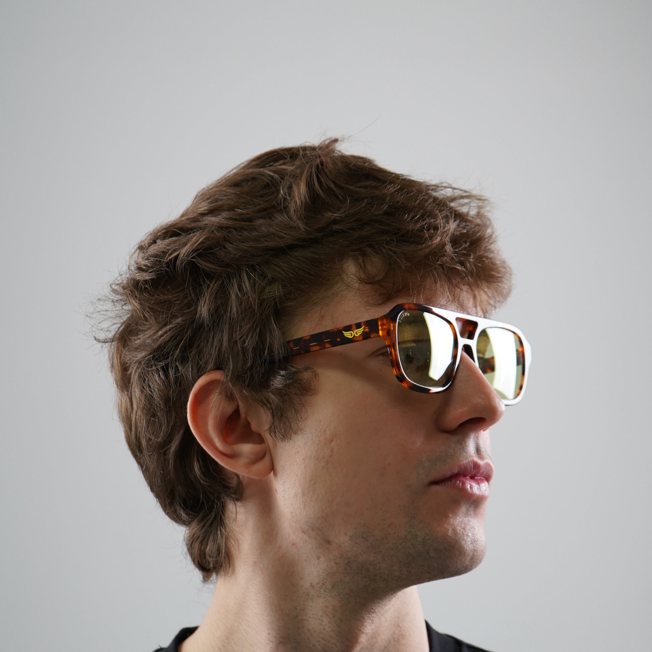 Sunglasses Tortoiseshell 2.0