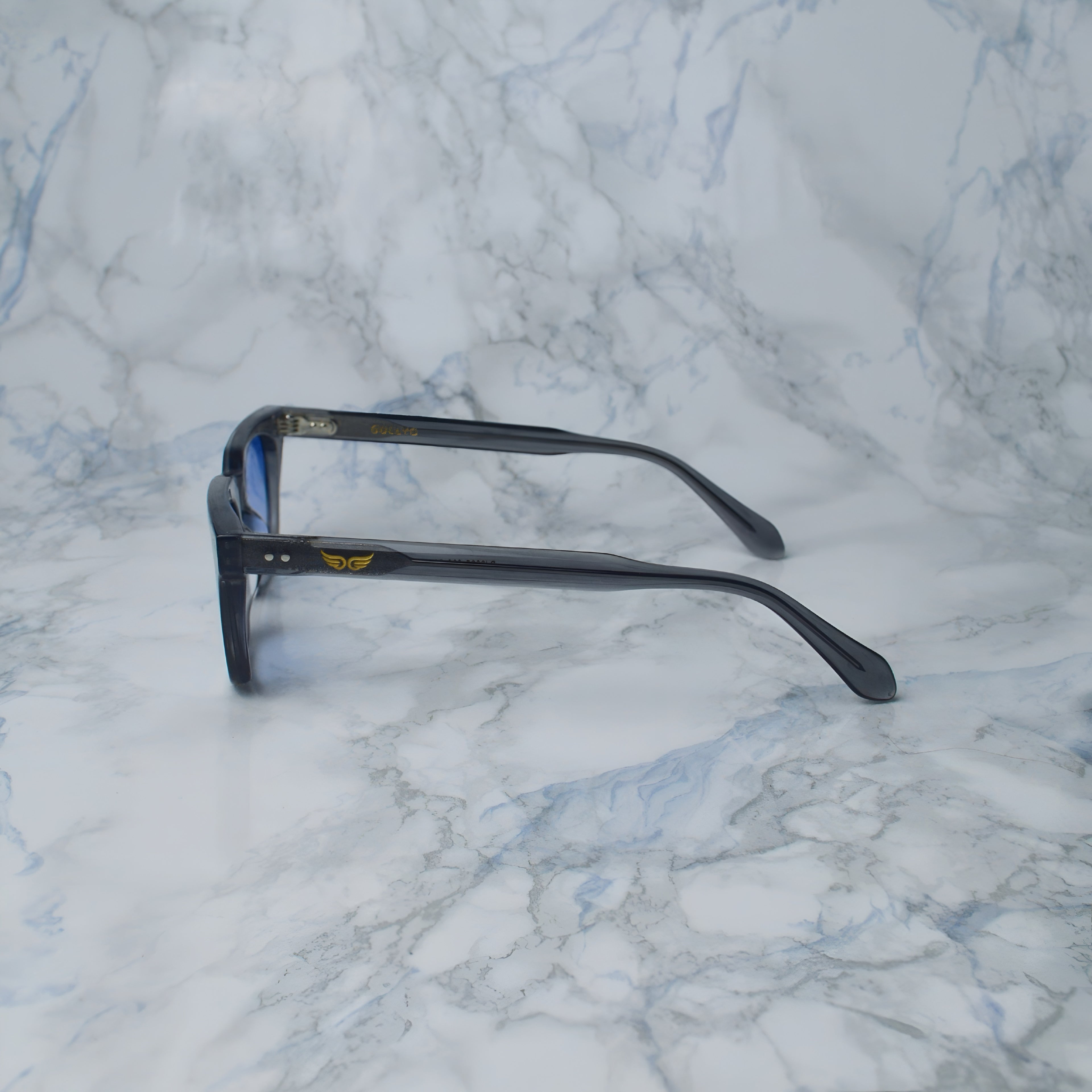 Sunglasses Gray Transparent